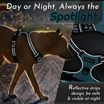 Eagloo dark green dog harness worn by a Labrador retriever