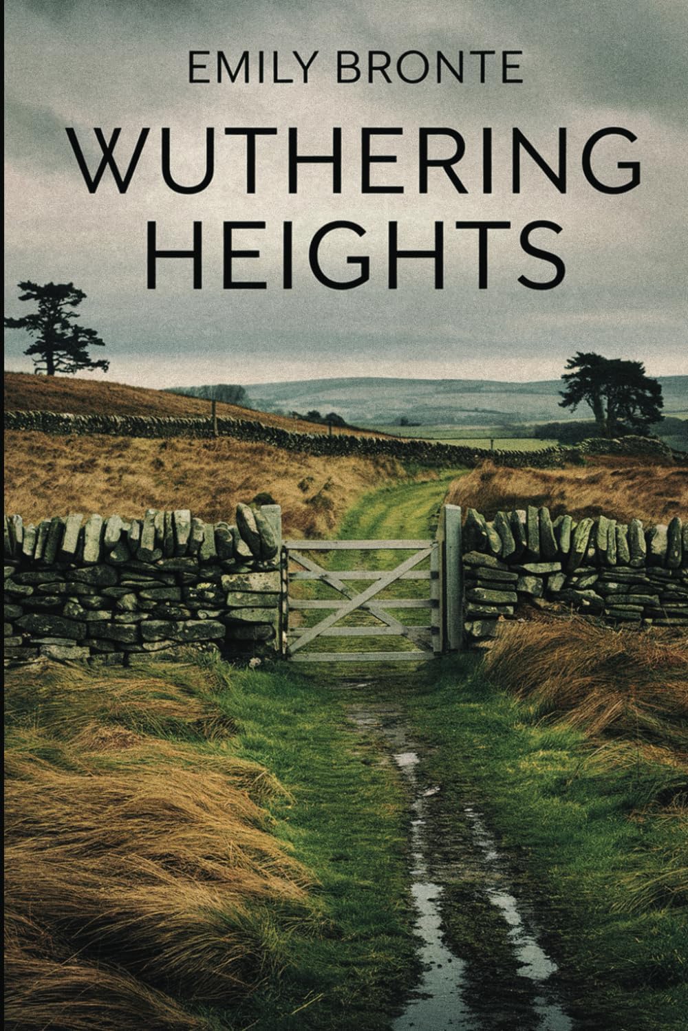 Wuthering Heights by Emily Bronte original paperback front cover