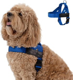 Dog Friendly Co. Dog Harness | Chafe Resistant Webbing, Adjustable Neck & Chest, and Heavy Duty D-Ring | Sturdy, Comfortable, Easy to Use | Classic Blue, Size L - Image 1