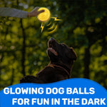 Durable thermoplastic rubber spiky dog toy ball for small dog teething