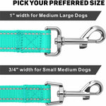 Erbine night safety dog leash demonstrating luminous reflective stitching detail
