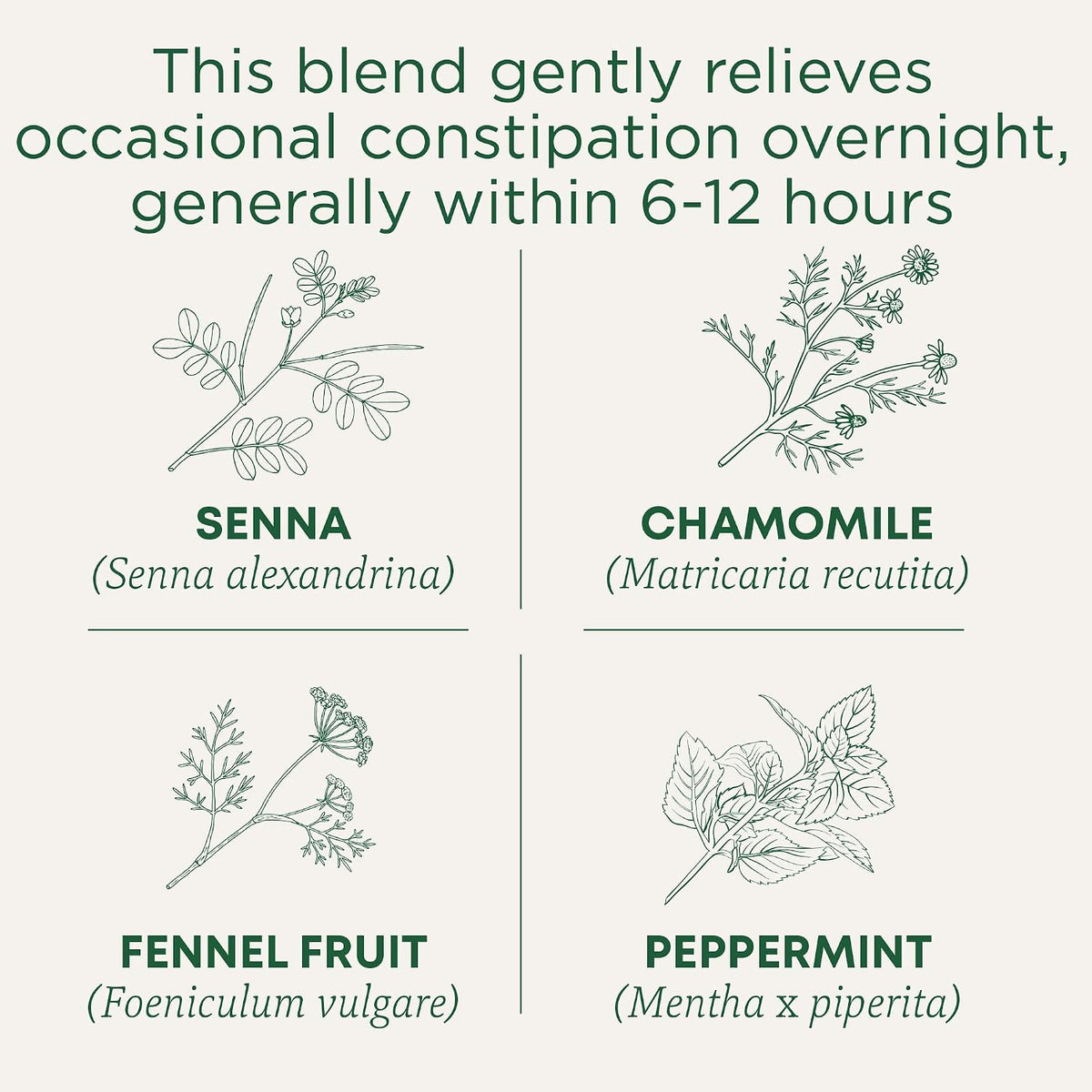 Traditional Medicinals Organic Smooth Move Chamomile Tea back view directions