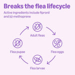Six month supply flea and tick drops for forty five to eighty eight pound dogs
