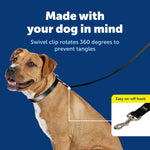 PetSafe traditional style dog walking leash