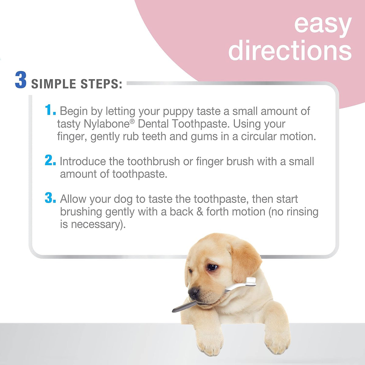 Nylabone rubber finger brush for dogs