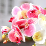 Flexible branches of artificial terrarium phalaenopsis plant