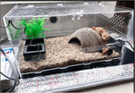Reptile tank setup with heating pad placed underneath