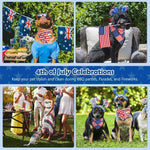 Vivifying patriotic pet accessory bundle showing both side designs clearly