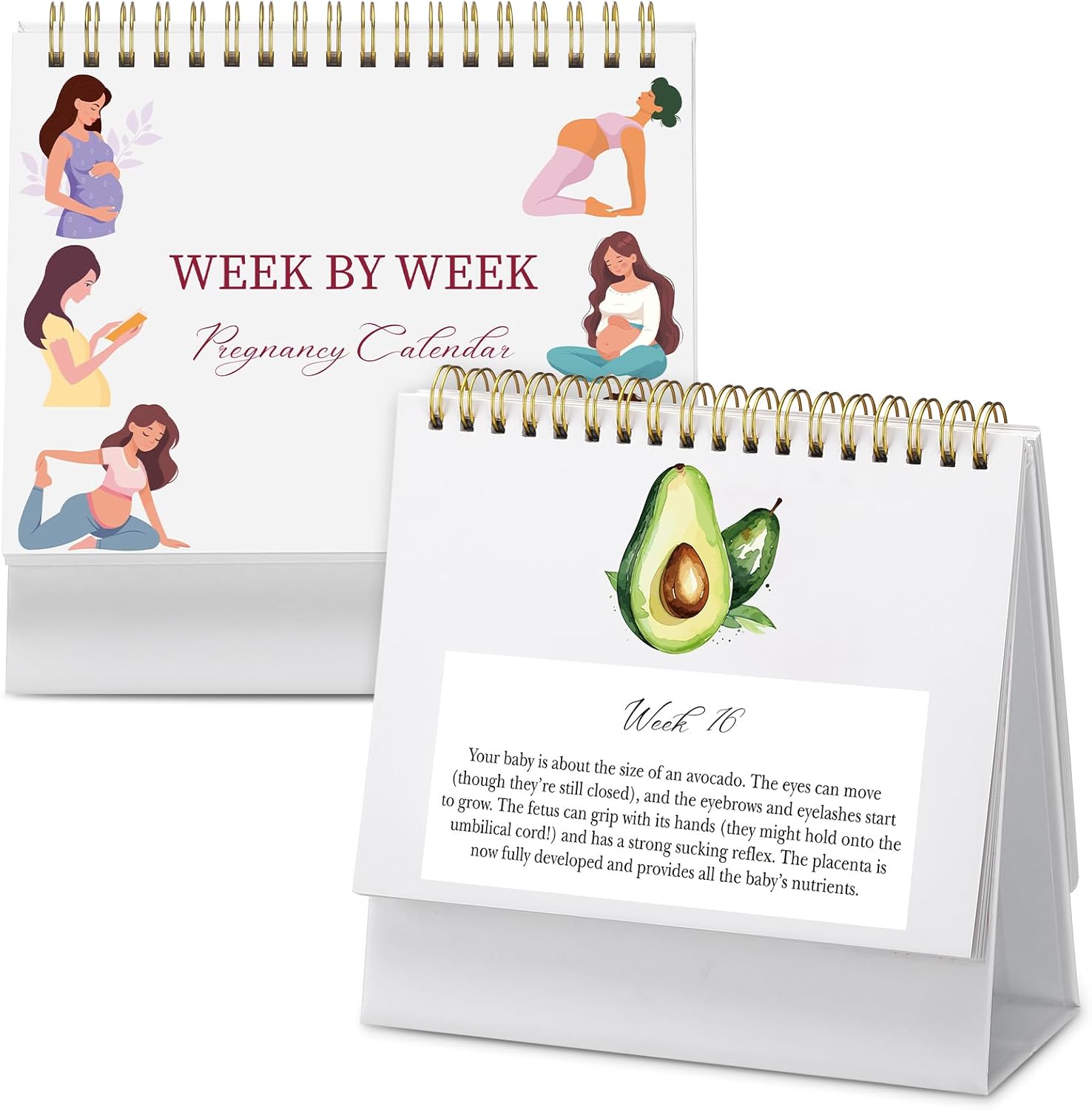 Gueevin Pregnancy Calendar front view showing the week by week milestone tracker setup on a nightstand.