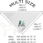 Small dog wearing Realeaf Big Brother pregnancy reveal scarf
