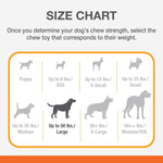 Nylabone power chew toy texture for dental health