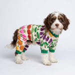 Fitwarm small breed puppy pajamas featuring broccoli and tomato graphics.