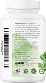 Micro Ingredients Moringa Oleifera lifestyle packaging view
