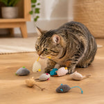 Packaging collection of the authentic imported Haourlife catnip stuffed mouse toys.