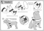 Bullhug dog harness fast release buckle detail