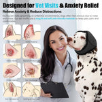 Dog wearing grey ear wrap for hematoma recovery