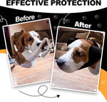 Prohear ear protection in black packaging