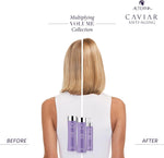 Alterna haircare product line display for fine and thin hair