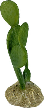 Multipet Komodo Prickly Pear Cactus full height display