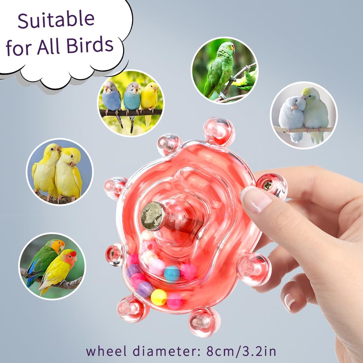 Cockatiel toys educational spinner mounted securely on metal cage bars