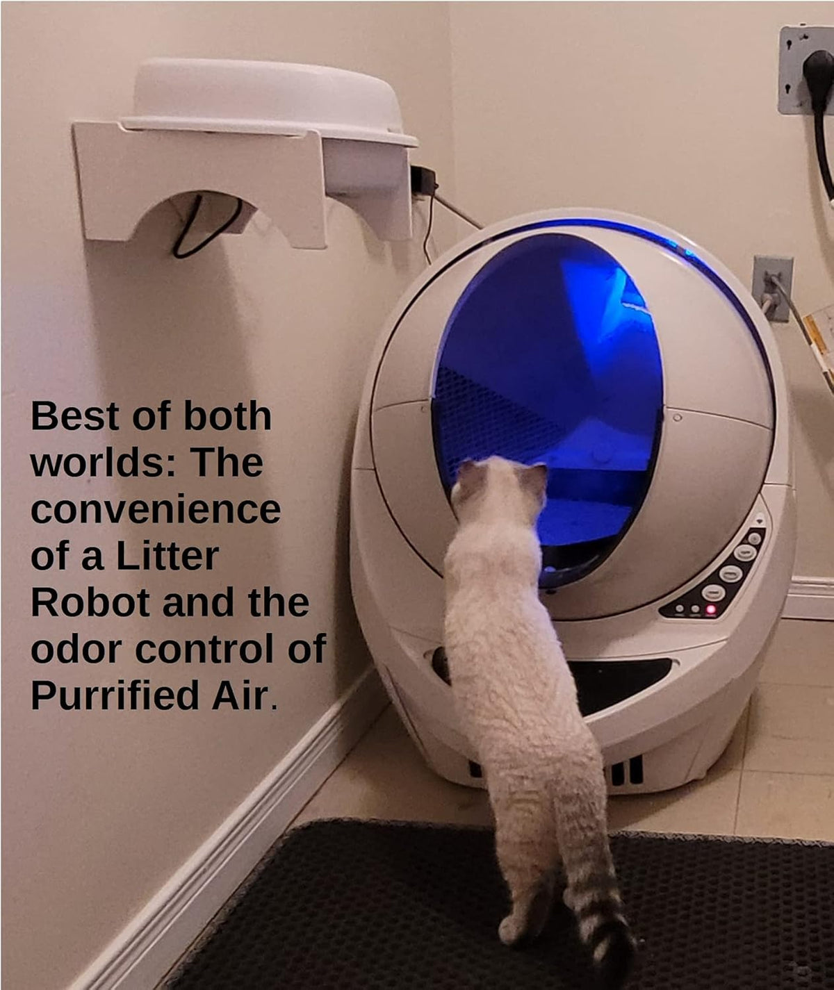 Purrified Air domestic pet air cleaner installed on a dome litter box
