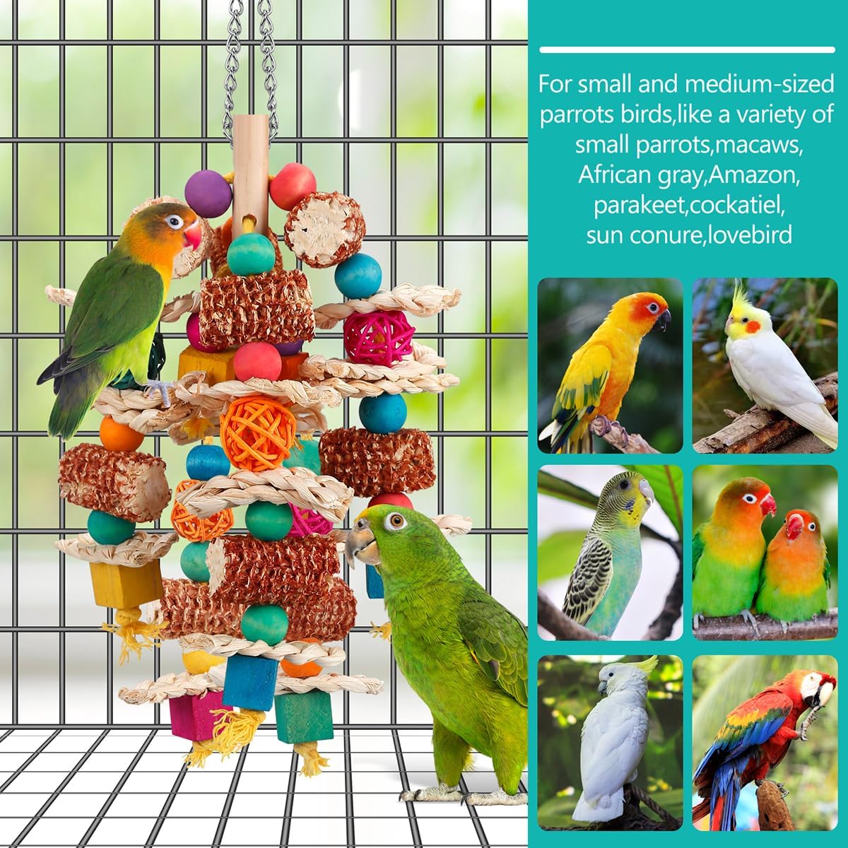 LovyoCoCo natural corn cob toy showing safe wooden beads for medium parrots