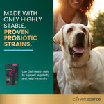 VetriScience Probiotic Everyday dog supplement back label with ingredient facts