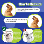Allroaring anti-lick dog cone showing the adjustable magic tape and buckle closure system.