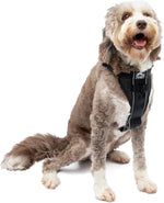 Kurgo Tru-Fit Smart Dog Harness front view black
