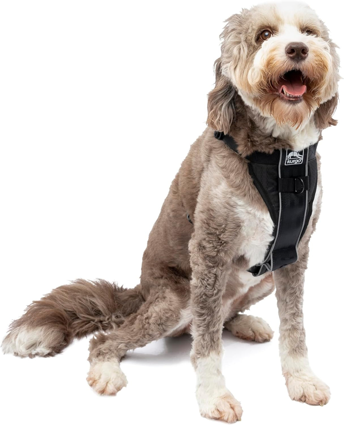 Kurgo Tru-Fit Smart Dog Harness front view black