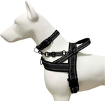 Premium USA imported dog safety clip packaging view for Indian pet owners