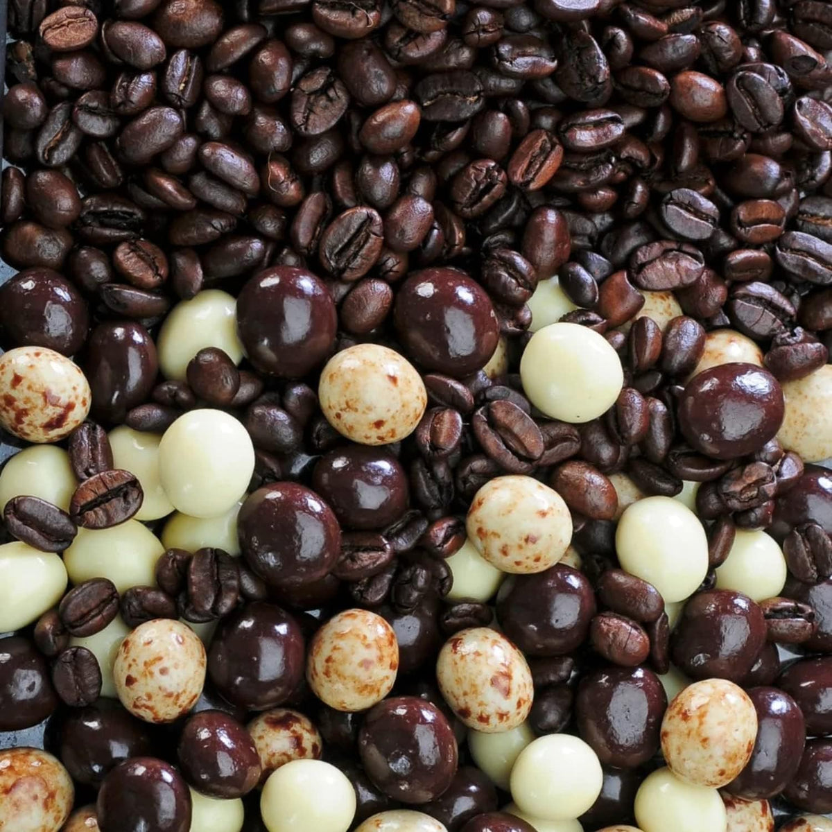 Close up view of premium Dilettante Hapsburg roasted coffee beans covered in gourmet chocolate layers.