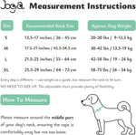 Adjustable luminous pet safety belt for medium and large dogs