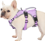 Huntboo Escape Proof Dog Harness, Escape Artist Harness, Reflective Dog Harness with Handle, Durable,Adjustable Vest for Small Medium Large Dogs Walking, Training, and Running Gear(Technicolor Blue,S) - Image 13