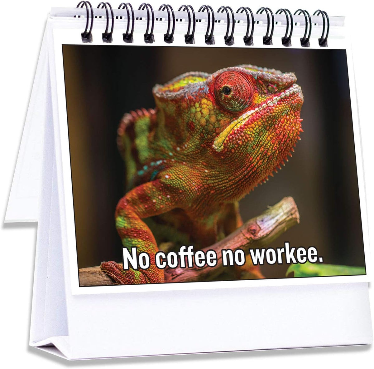 Maad funny office flip book front view showing cubicle accessory