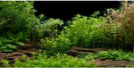 AWERT Aquarium Background River Bed front view inside a fully decorated fish tank layout.
