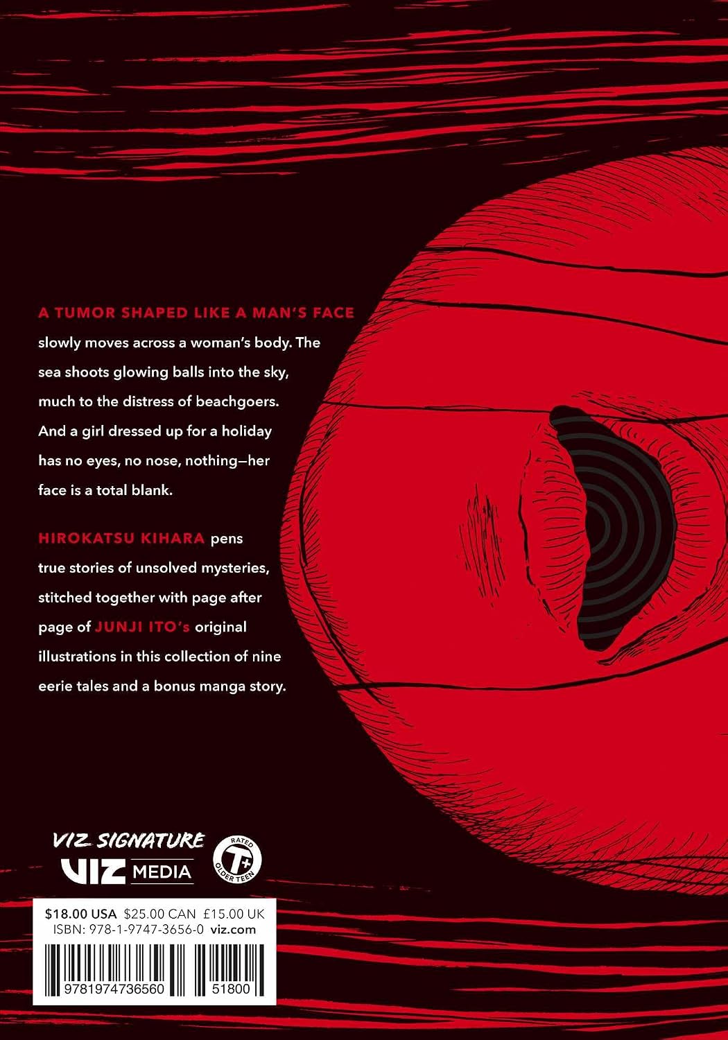 Close-up view of Stitches graphic novel spine and hardcover binding imported from USA