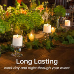 TECHLONG flameless decorative candles placed inside glass lanterns