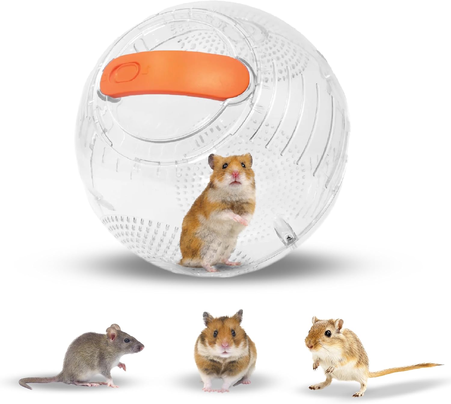 Happy Habitats Roam Clear Hamster Exercise Ball front view on smooth floor.