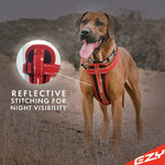 EzyDog no pull harness adjustable straps side view