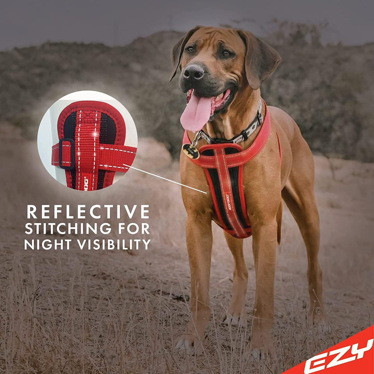 EzyDog no pull harness adjustable straps side view