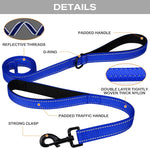 Joytale royal blue leash reflective stitching detail