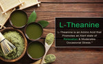 Authentic SmarterVitamins L-Theanine 50 liquid softgels product display