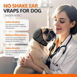 Dog wearing Johnbolin ear wrap for hematoma protection