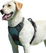 Eagloo dog harness for large dogs front view in dark green