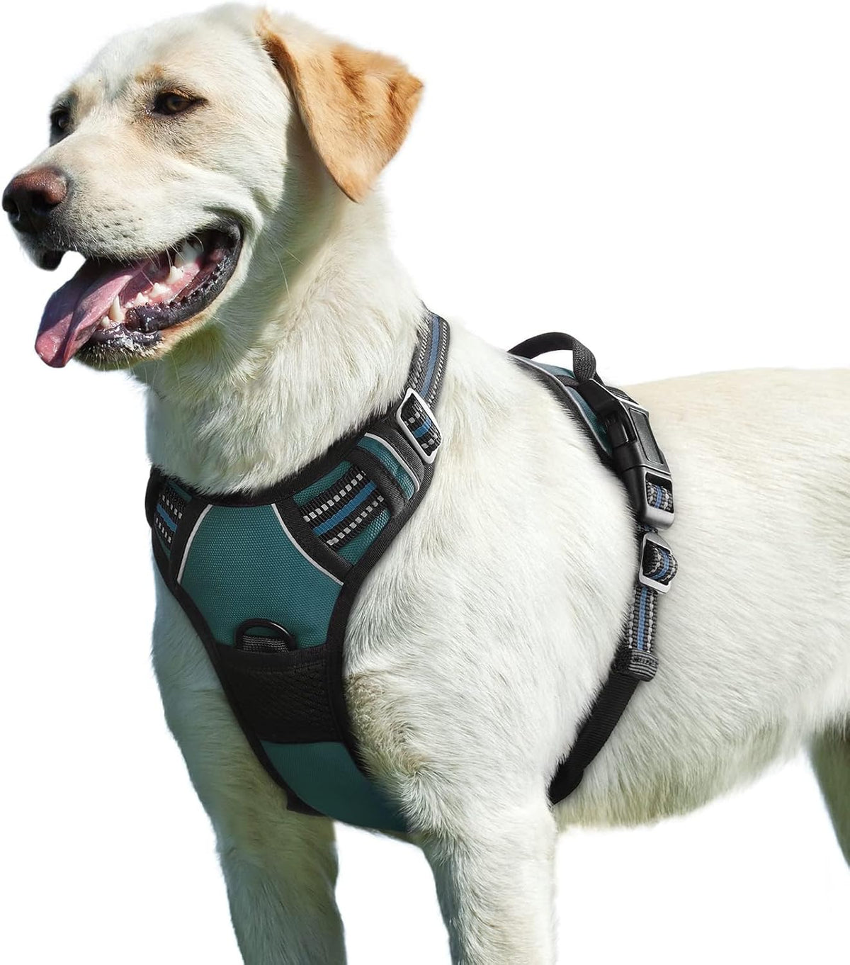 Eagloo dog harness for large dogs front view in dark green