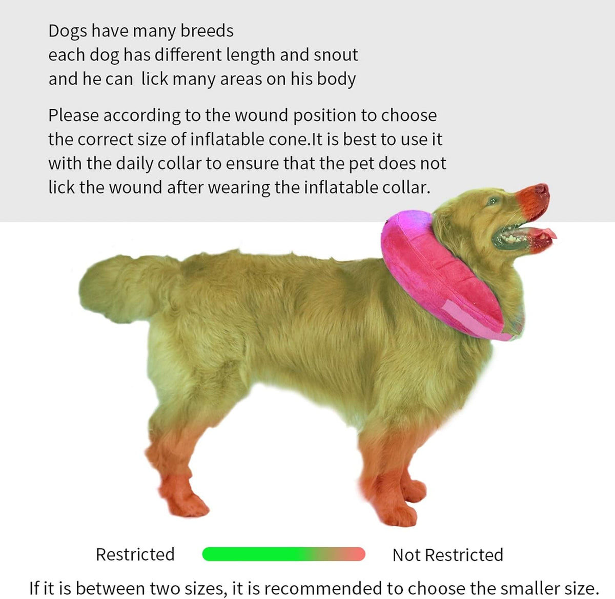 MCHY small inflatable medical collar for post surgery pet wound protection.