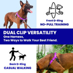 Top view of Apdexy purple harness with instructional tags