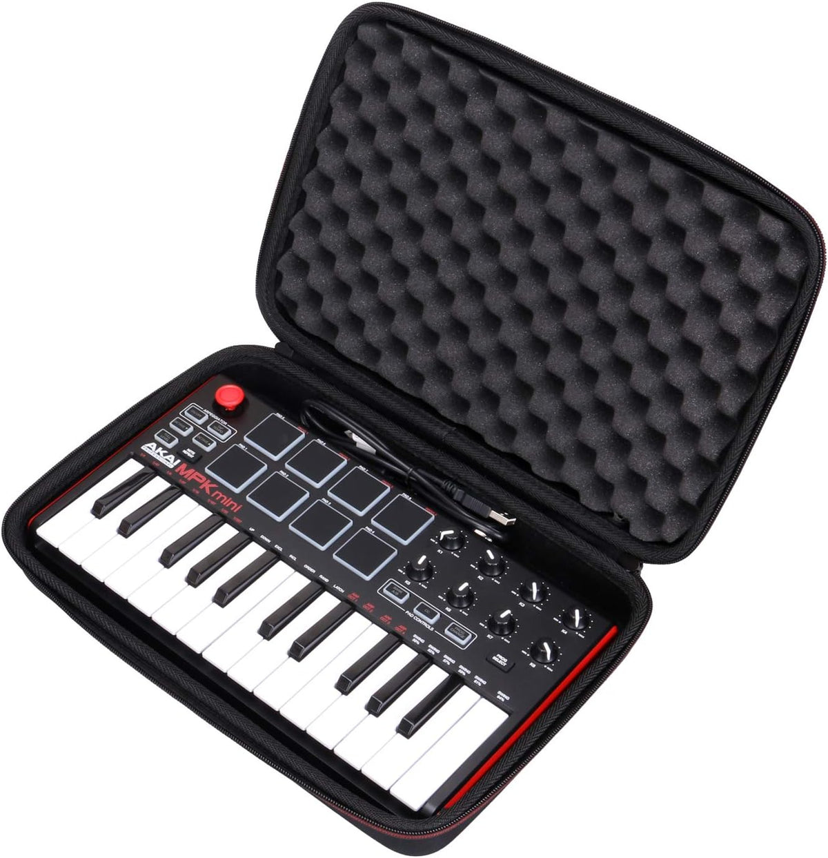 L LTGEM travel storage case open showing interior foam padding