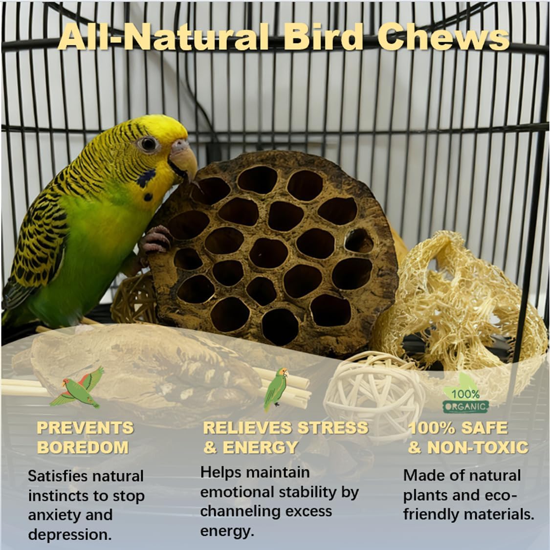 Cockatiels and parakeets interacting with the PINEPOP natural shredding box.